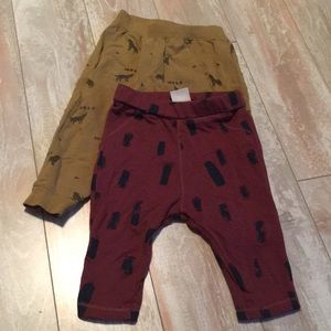 Zara trouser bundle